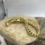 Vintage Chain Link Golden MenBracelet